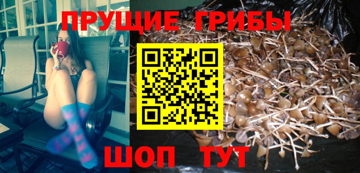 Мыски  Псилоцибиновые грибы Psilocybe  Галлюциногенные грибы MAGIC MUSHROOMS  Вход с VPN 